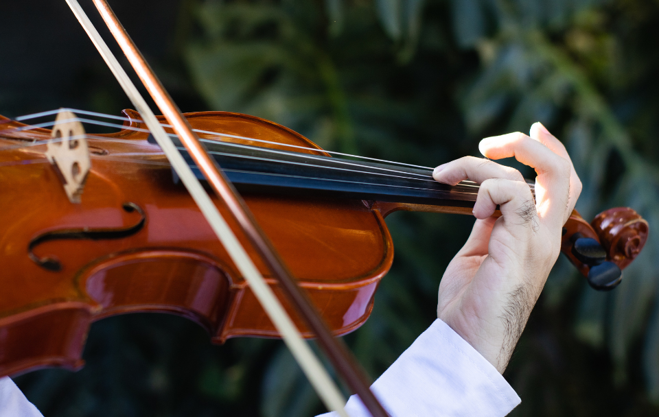 Violin Performance