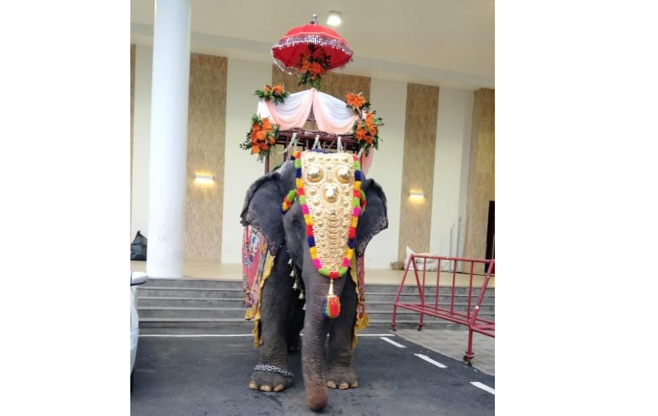 Wedding Elephant
